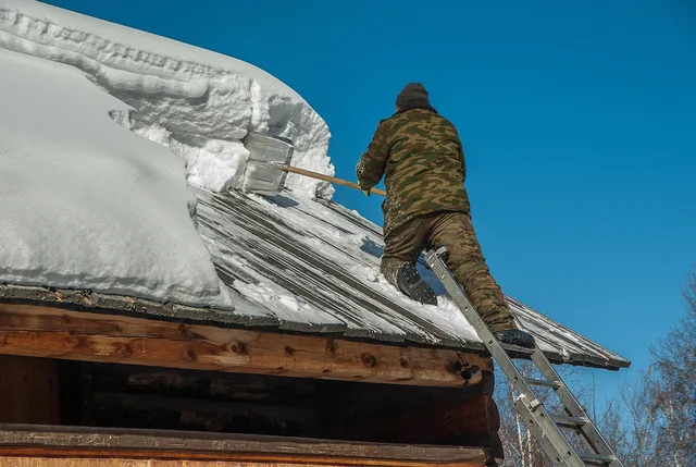 siberia, snow removal, roof, ladder, shovel, snow removal, snow removal, snow removal, snow removal, snow removal. Do cold-state home services earn more in Minneapolis than in Miami?