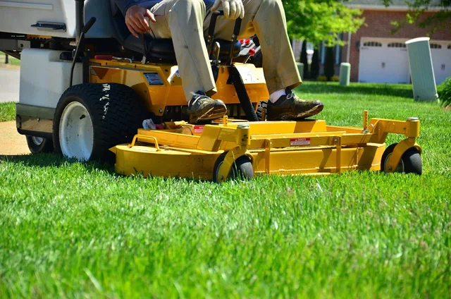 lawn care, lawn maintenance, lawn services, grass cutting, lawn mowing, green care, green service, lawn care, lawn care, lawn care, lawn care, lawn care, lawn mowing. Local service ideas framework: which property to change first