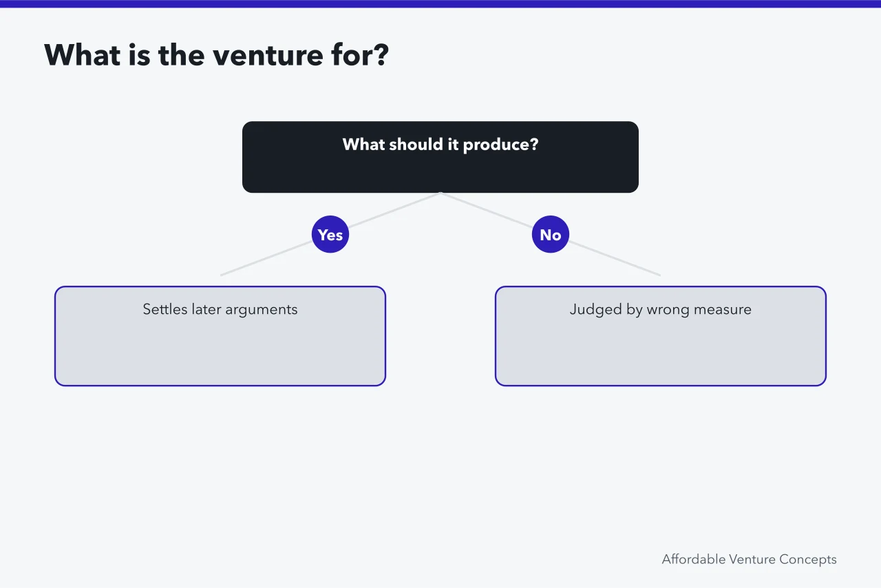 Decision chart asking what the venture is meant to produce (Ideas for retirees, one decision at a time)